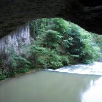 Dscn7294